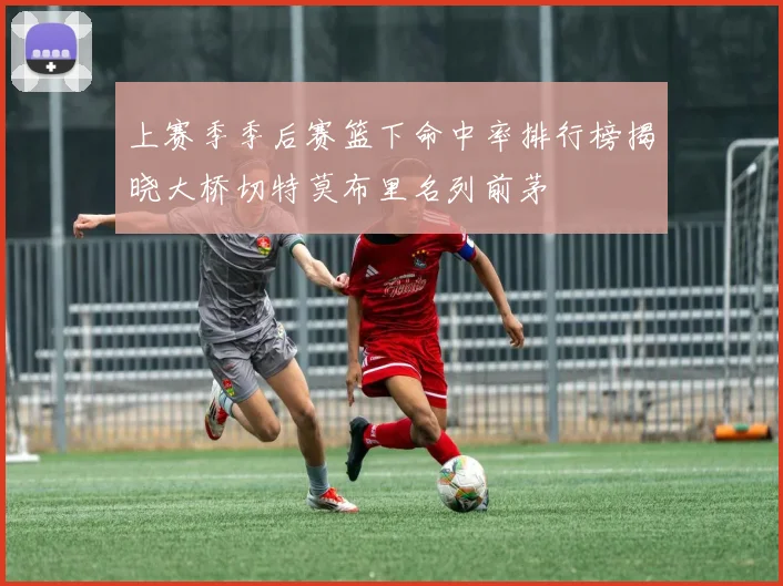 上赛季季后赛篮下命中率排行榜揭晓大桥切特莫布里名列前茅