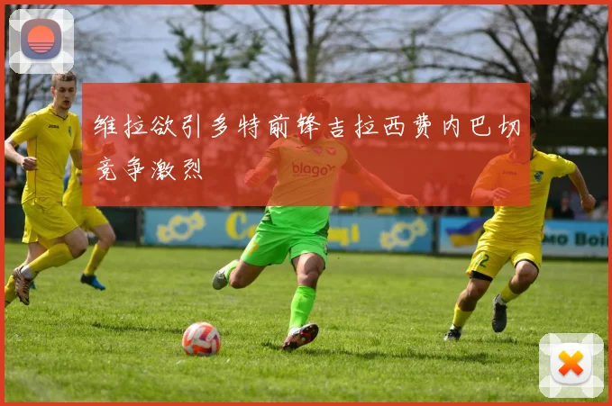 维拉欲引多特前锋吉拉西费内巴切竞争激烈